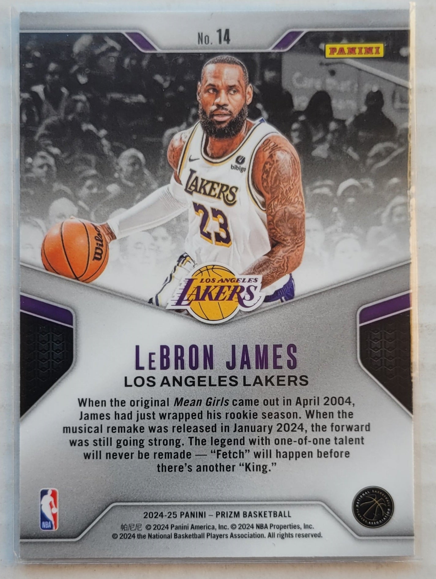 LeBron James - 2024-25 Panini Prizm Dominance #14
