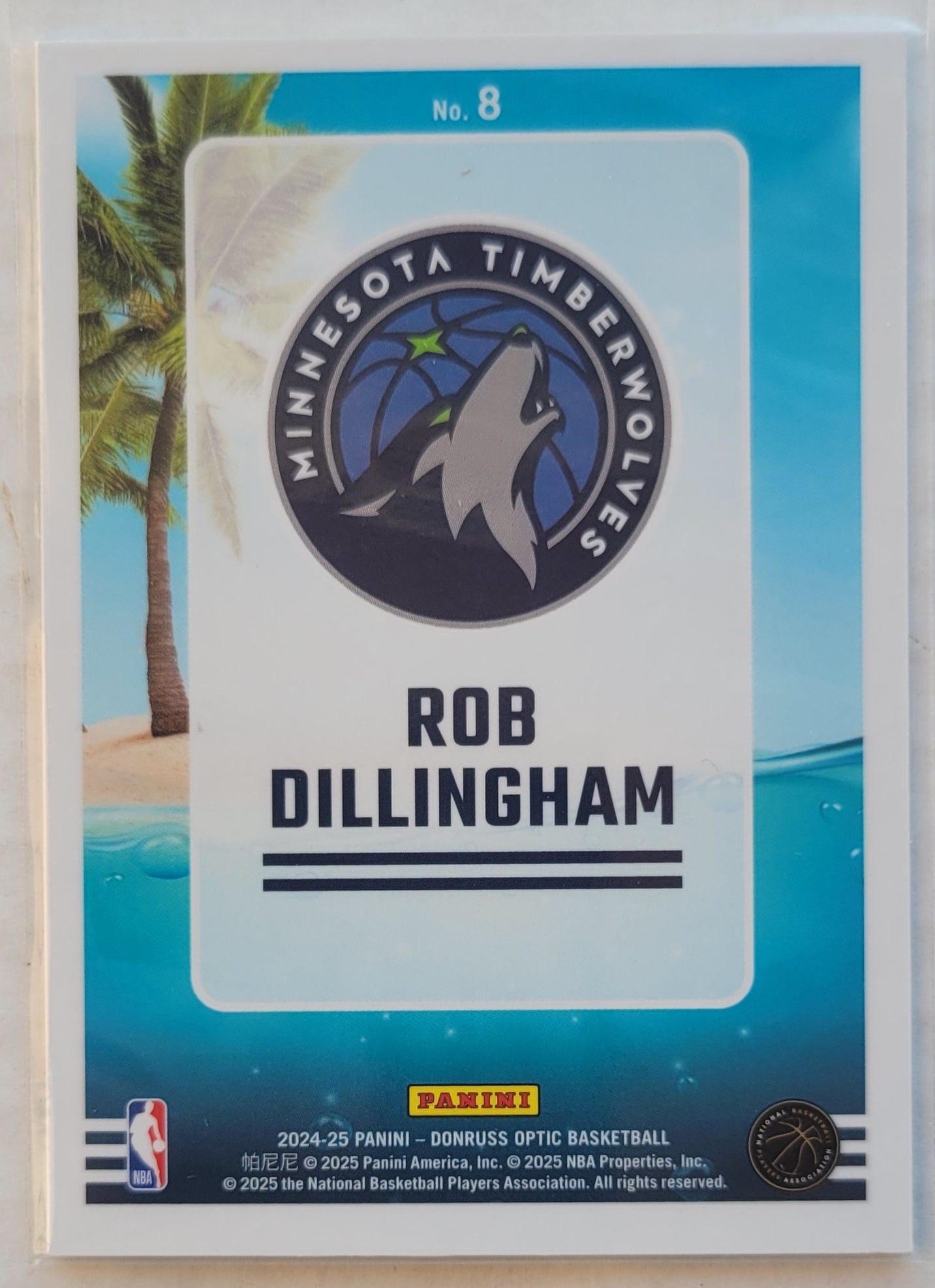 Rob Dillingham - 2024-25 Donruss Optic Splash! #8