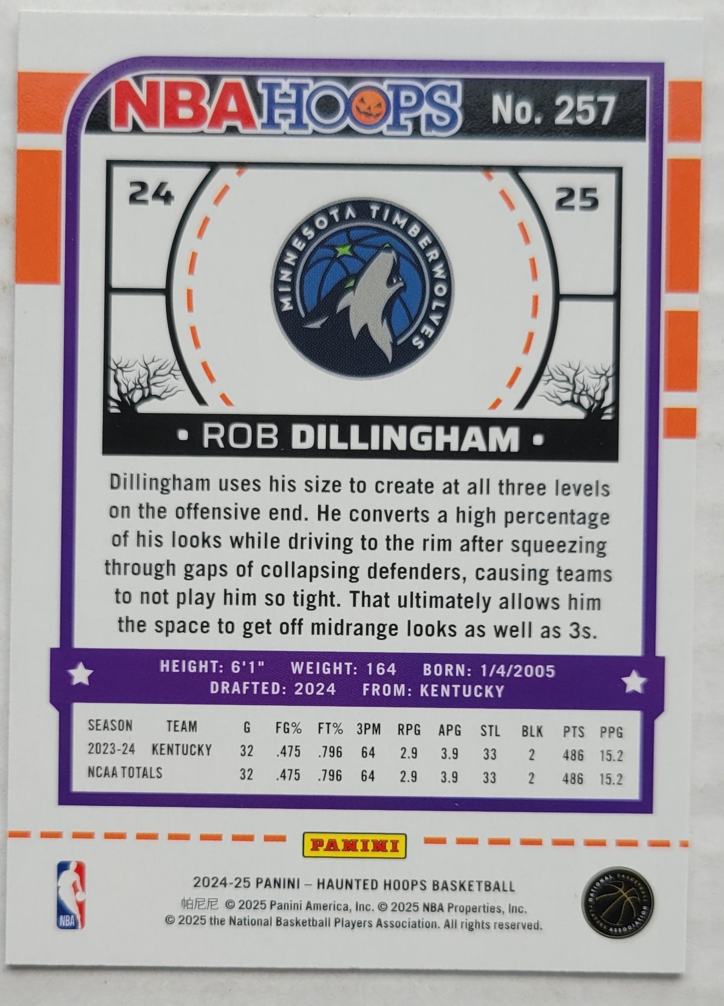 Rob Dillingham - 2024-25 Hoops Haunted Hoops #257 RC