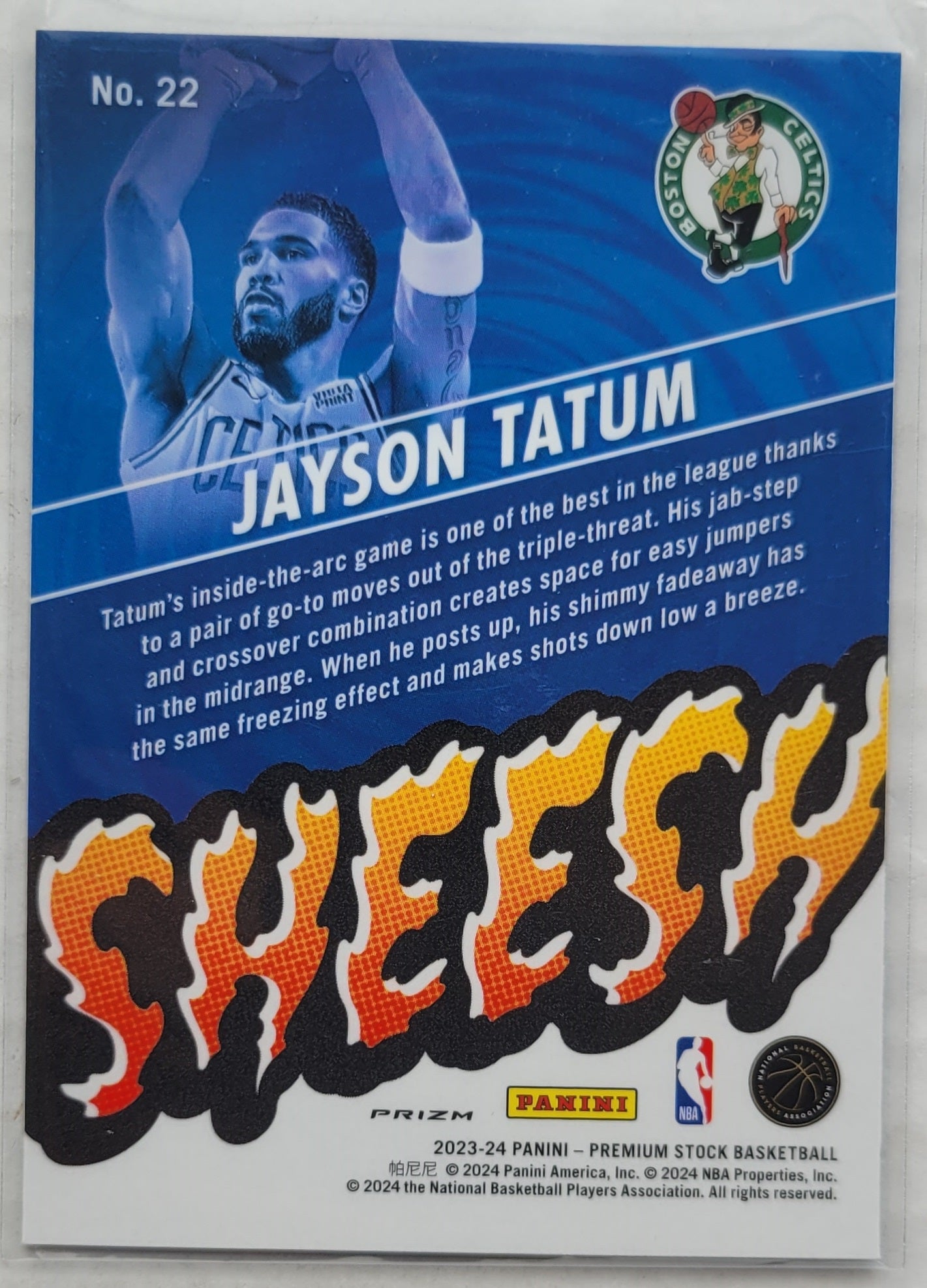 Jayson Tatum - 2023-24 Hoops Premium Stock Sheesh Silver Prizm #22