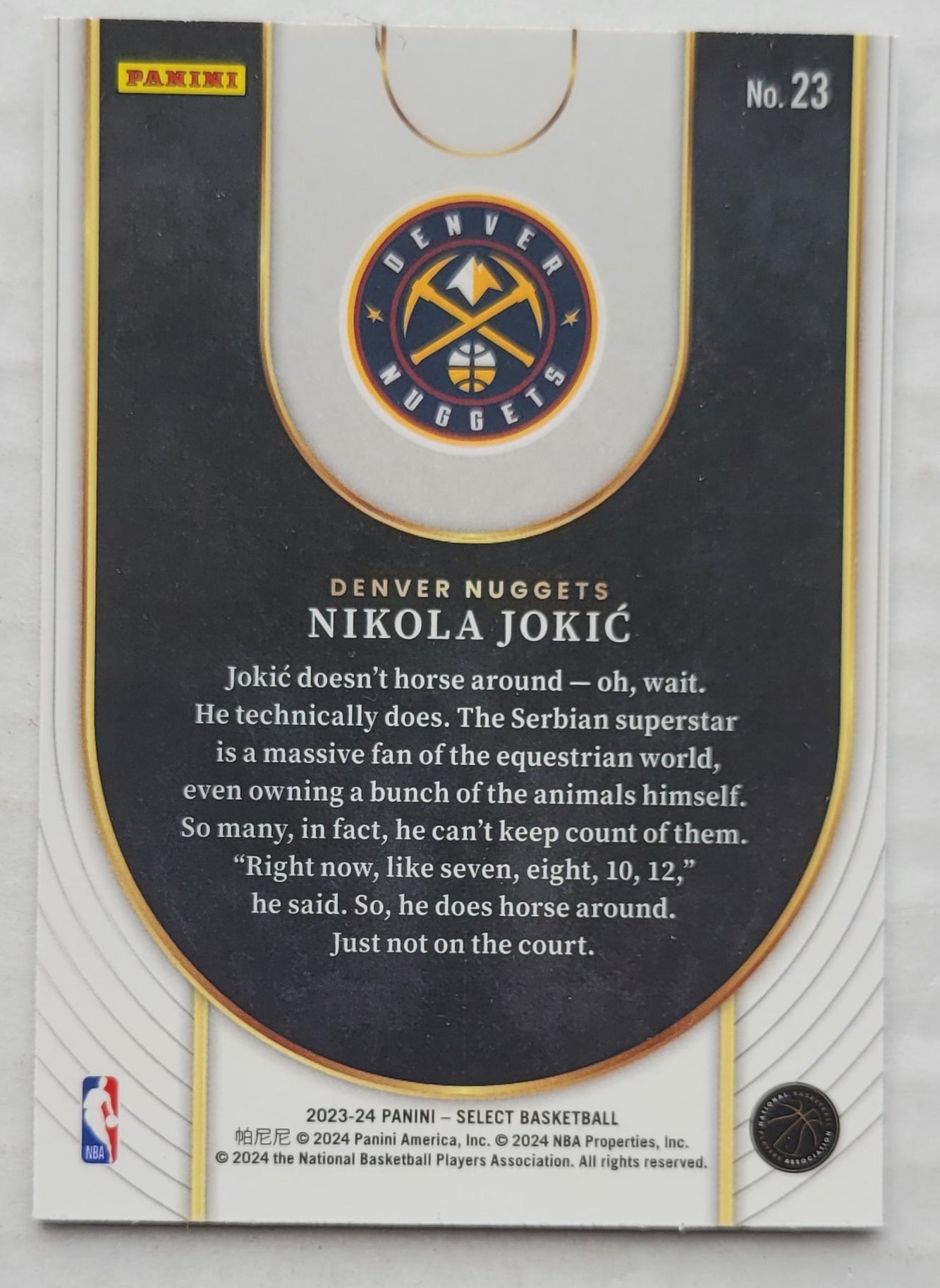 Nikola Jokic - 2023-24 Select Neon Icon #23