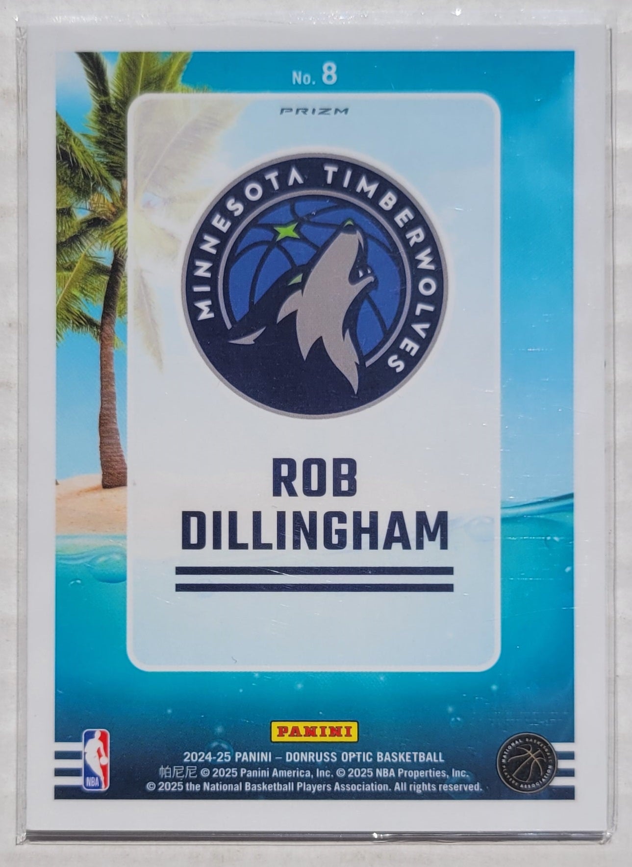 Rob Dillingham - 2024-25 Donruss Optic Splash! Purple #8