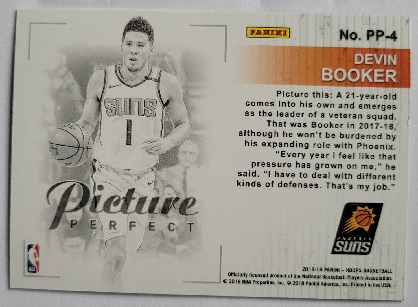 Devin Booker - 2018-19 Hoops Picture Perfect #4