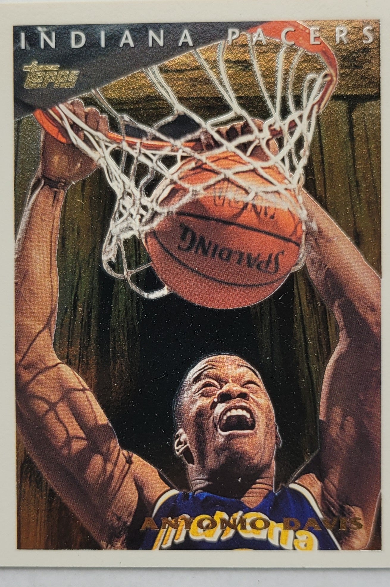 Antonio Davis - 1995-96 Topps Pan For Gold #PFG14