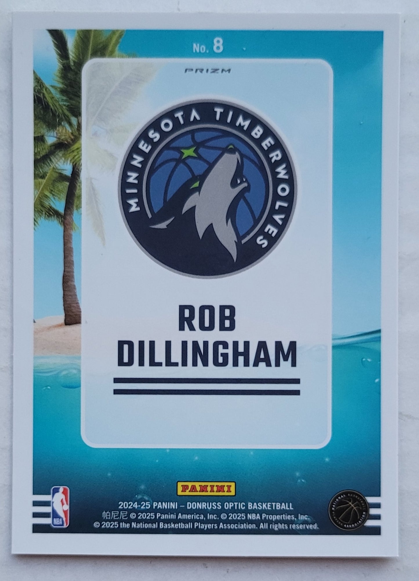 Rob Dillingham - 2024-25 Donruss Optic Splash! Holo #8
