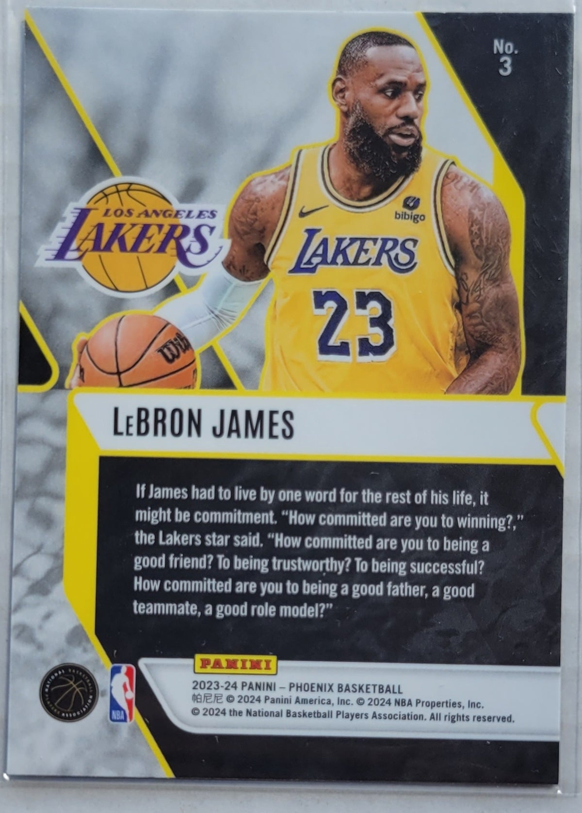 LeBron James - 2023-24 Panini Phoenix Fade To Black #3